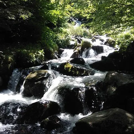Le Patio Gironnais Saint-Girons (Ariege)